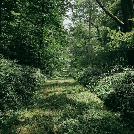 Le Refuge Du Maraicher Camping *